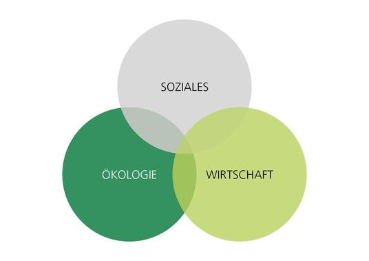 Venn-Diagramm der Nachhaltigkeit mit den Bereichen Ökologie, Wirtschaft und Soziales